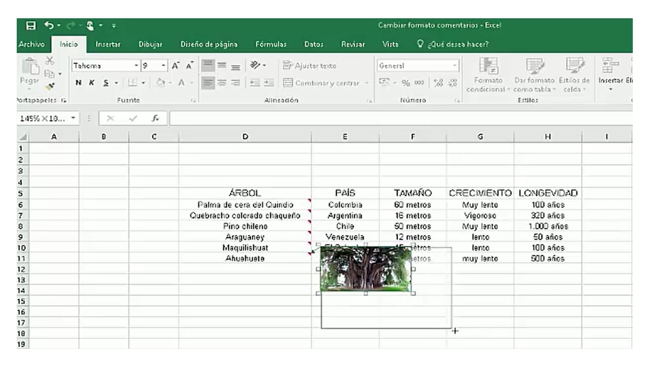 Insertar En Excel