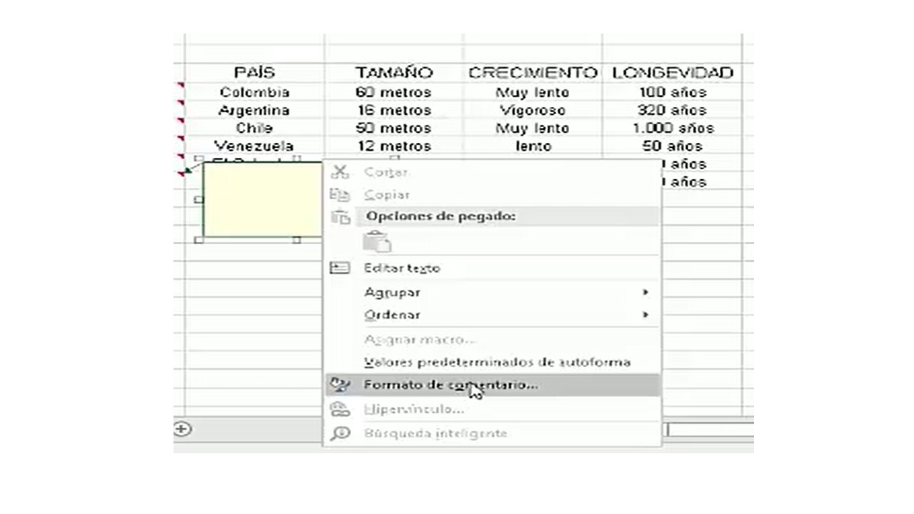 Insertar imagen en comentarios Excel