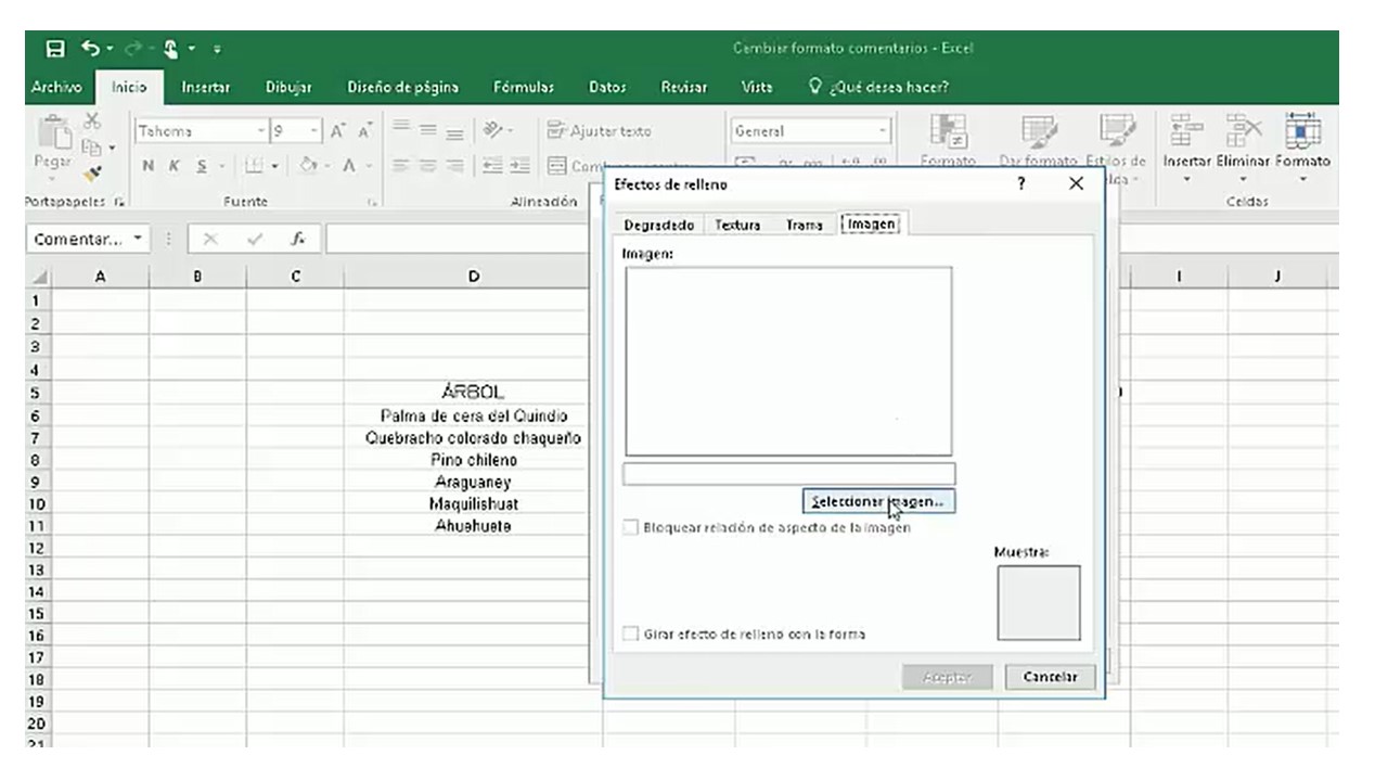 Insertar imagen en comentarios Excel