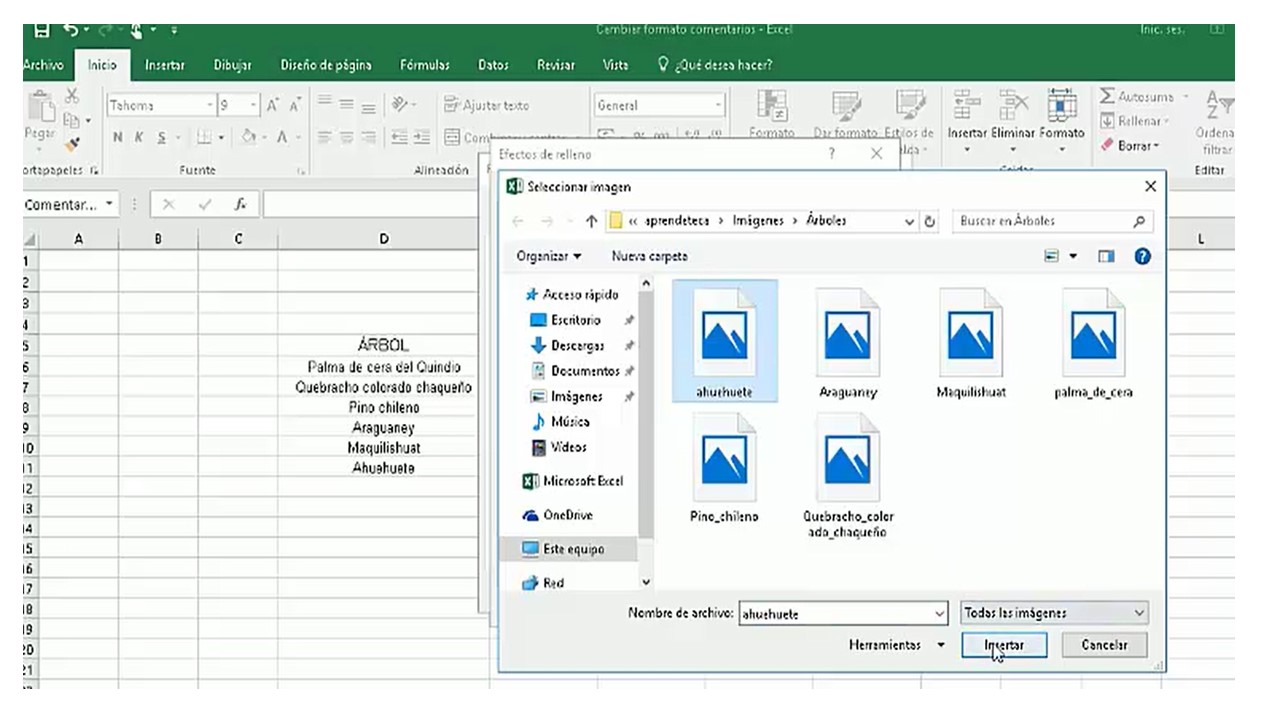 Como Insertar Imagenes En Excel