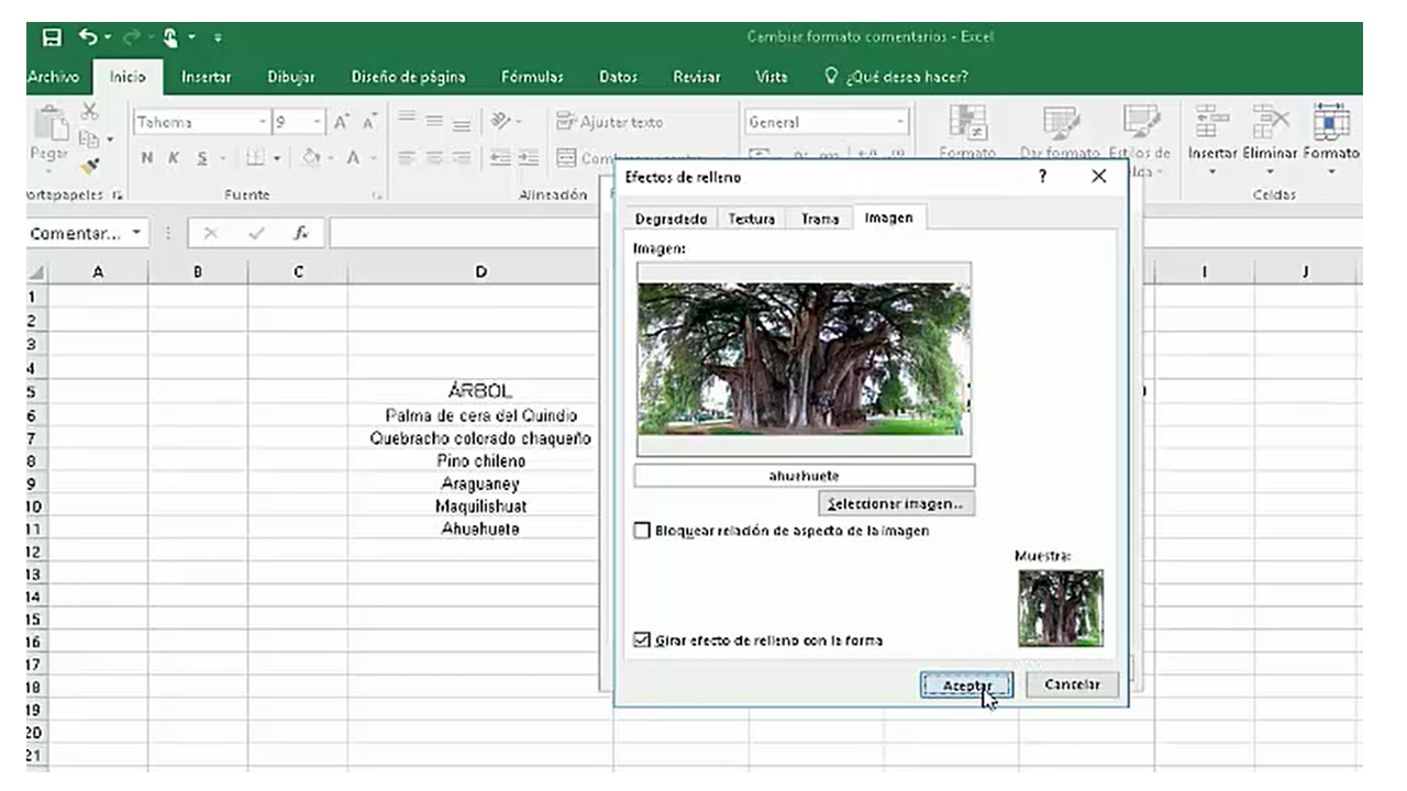 Como Insertar Imagenes En Excel